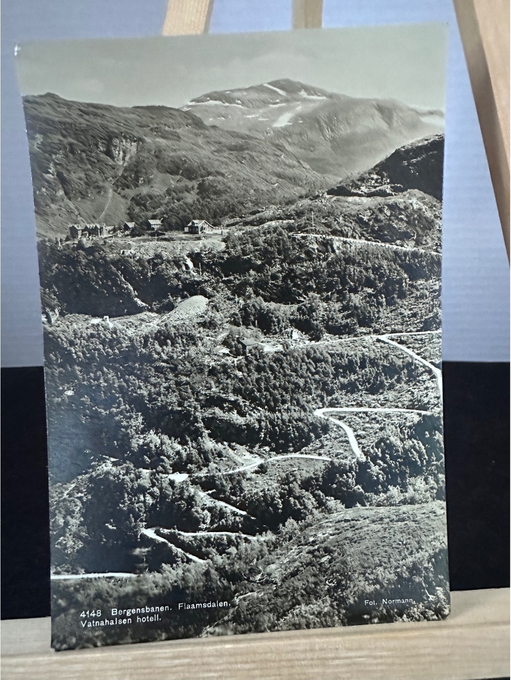 Vintage Norway Bergensbanen Flaamsdalen Vatnahalsen Hotel Postcard Normann